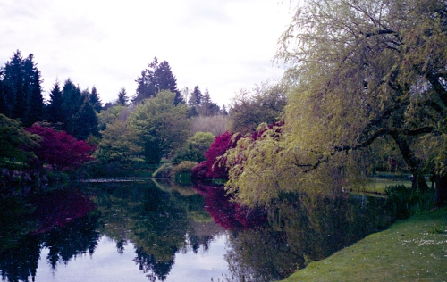 Lake In Spring At VanDusen Botanical Garden